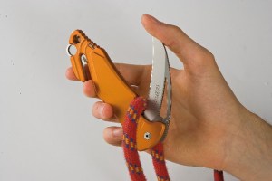 0 3 the_special_curved_shape